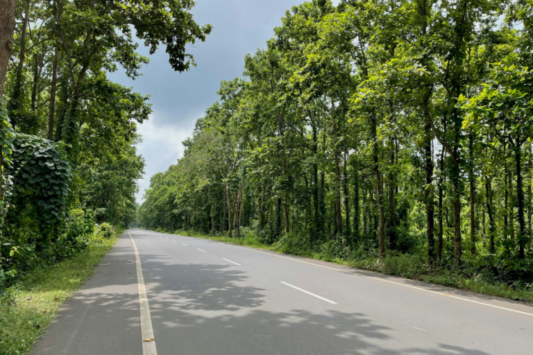 The Ultimate Monsoon Road Trip Mumbai to Goa