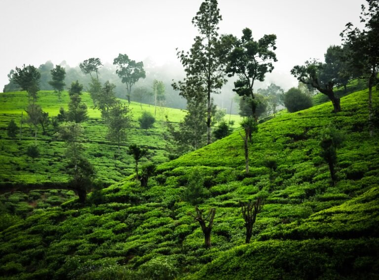 Sri Lanka