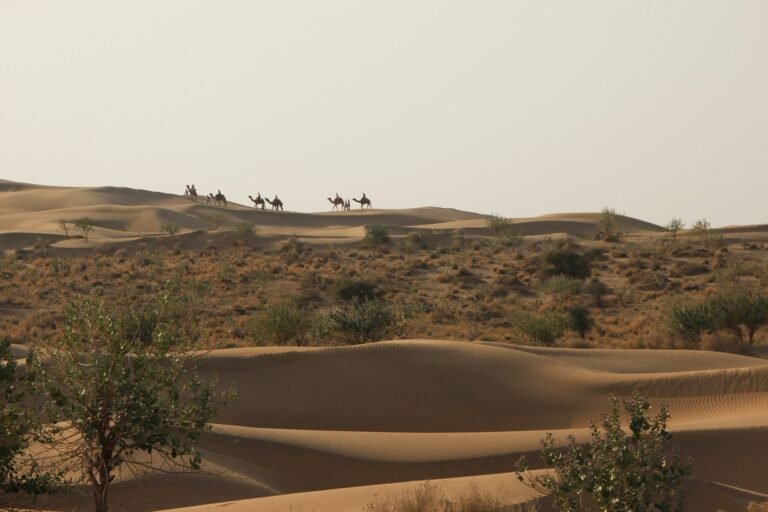 Jaisalmer: The Golden City That Refuses to Be a Ruin