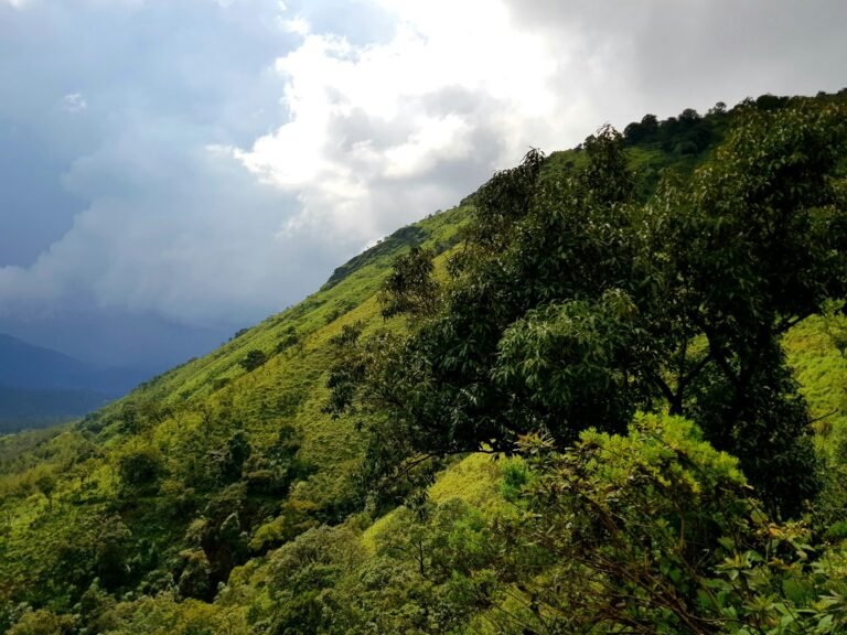 Coorg and Chikmagalur: India’s Coffee Country