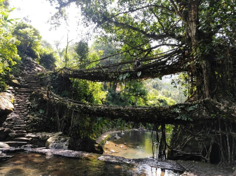 Meghalaya’s Living Root Bridges, and the Trek That Earns Them